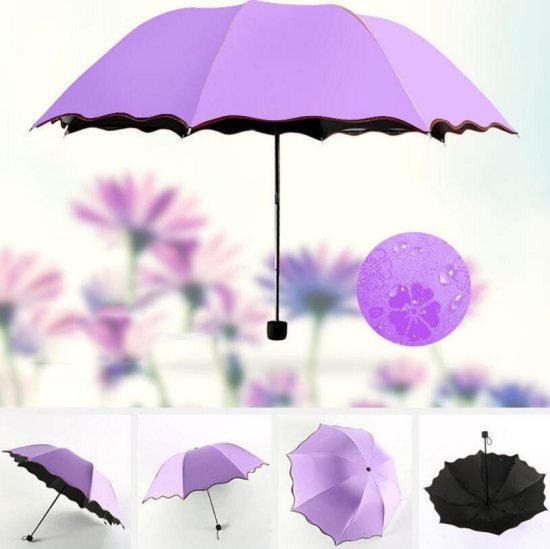 Magic Umbrella  Garden and Outdoor