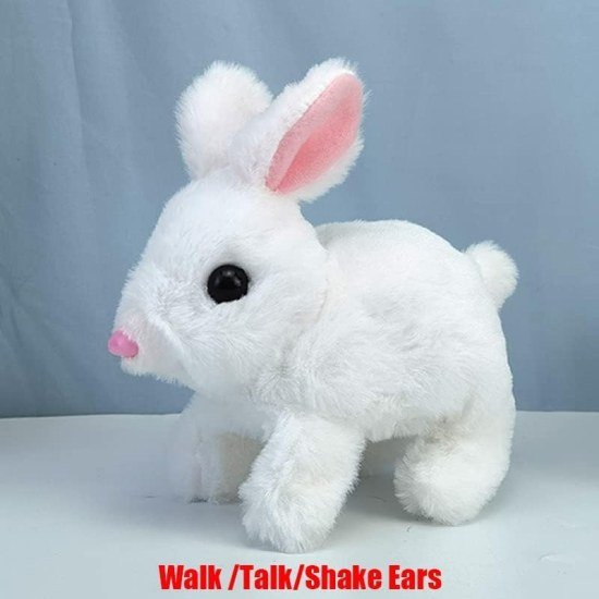 Walking and Talking Rabbit Toys